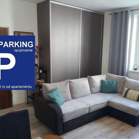 Zacisze Starowki Apartment Torun Exterior photo