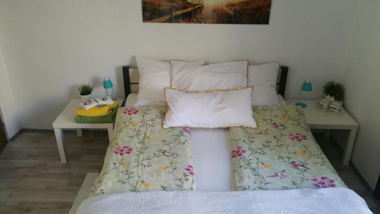 Zacisze Starowki Apartment Torun Exterior photo